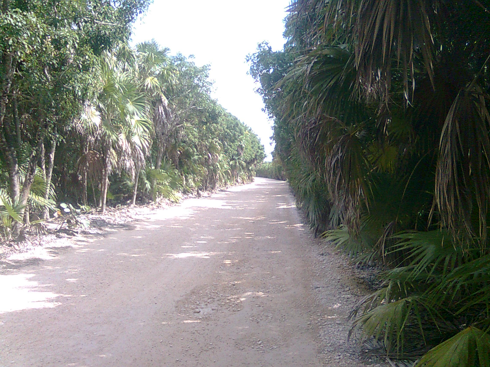 Reparan el camino que va hacia Punta Allen