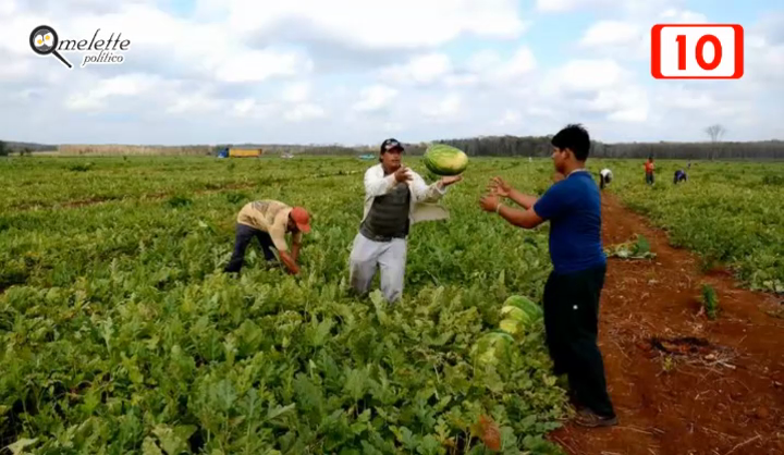 PRODUCTORES DE PUERTO ARTURO