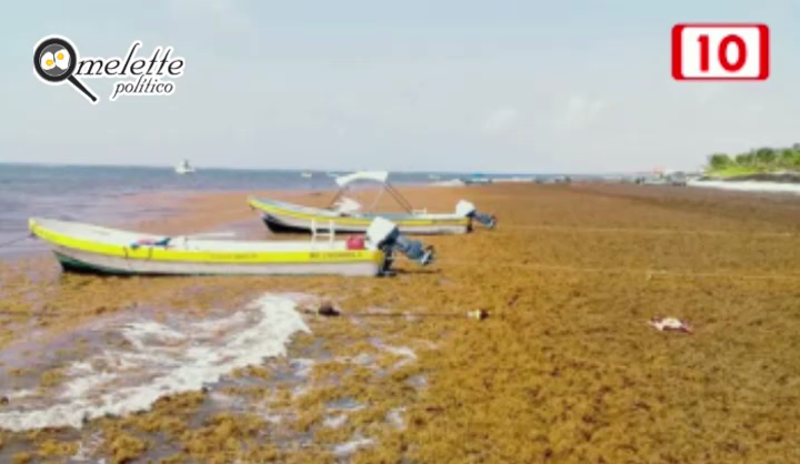 CONANP IMPIDE ACCESO DE LA SEMA PARA LIMPIEZA DE PLAYAS