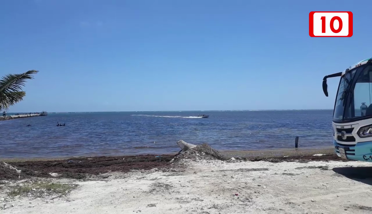 Sargazo pondría en riesgo llegada de turistas a la costa maya