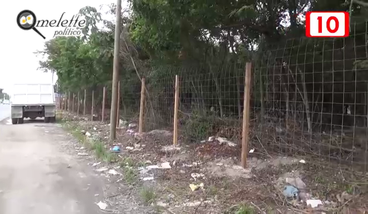 Ambientalista denuncia terreno que esta siento talado