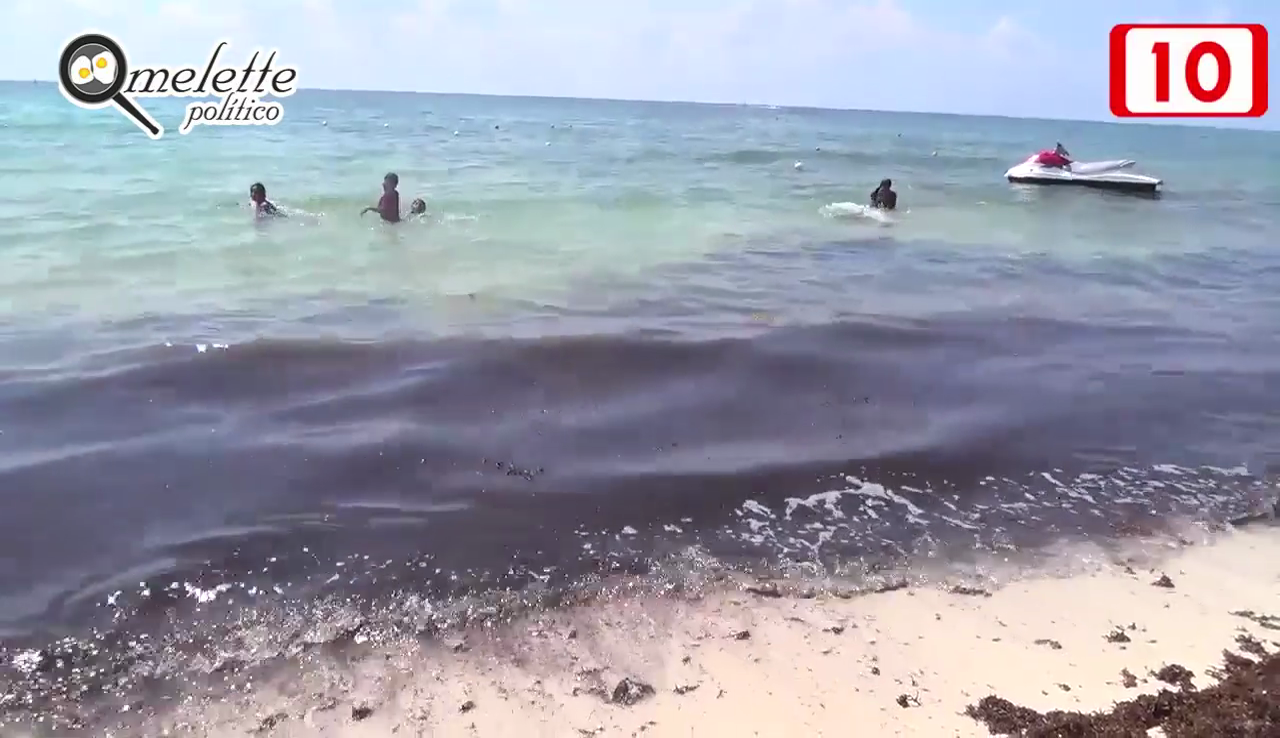 Contendrán el sargazo antes de que llegue a la playa