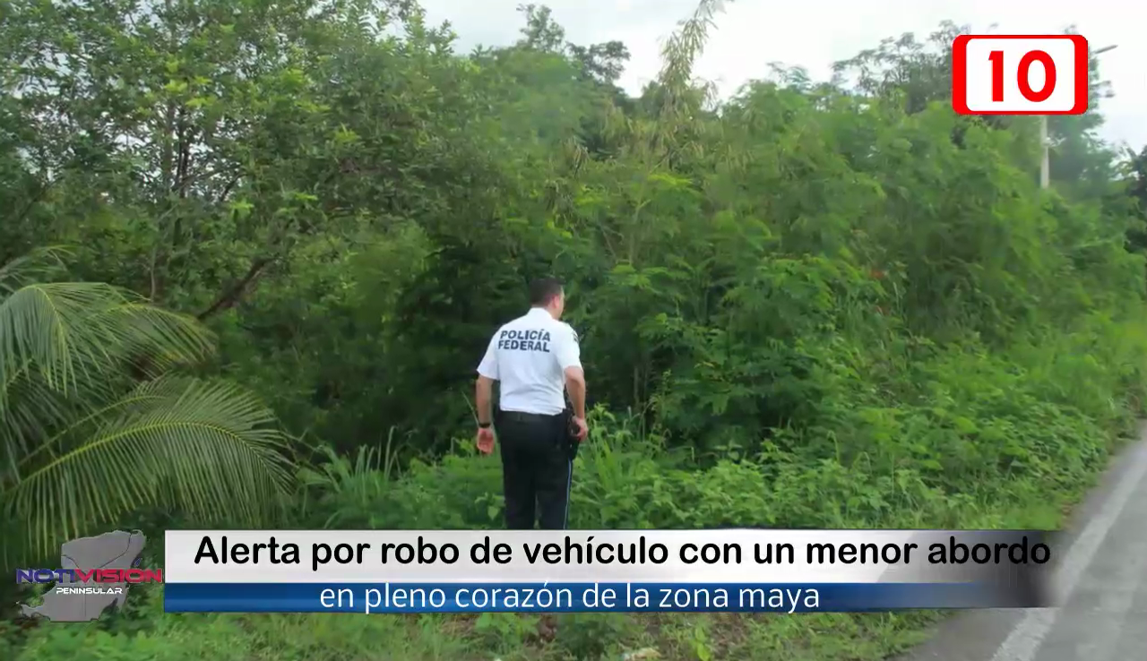 ALERTA DE SEGURIDAD POR ROBO