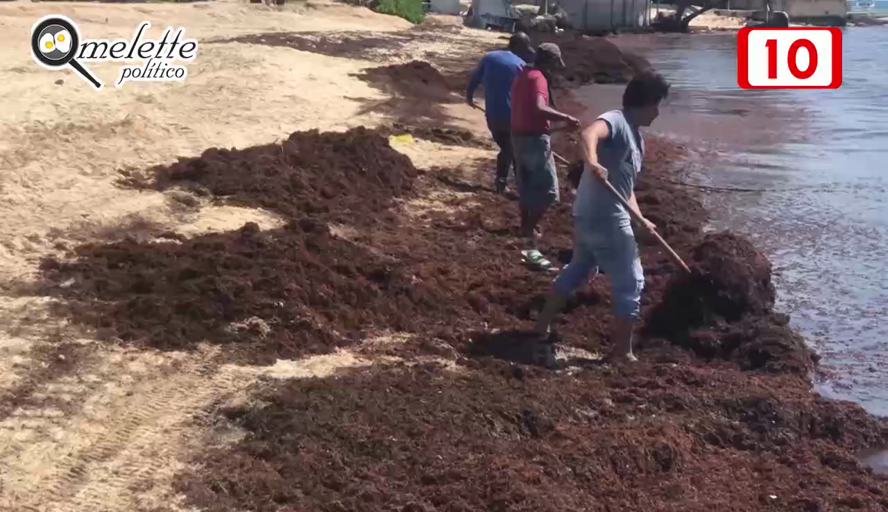 Prueban barcaza antisargazo en Puerto Morelos