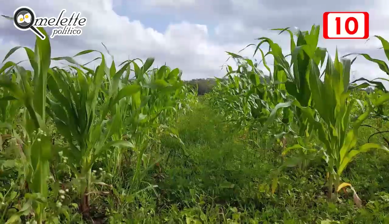 CAMPESINOS PIDEN QUE PROGRAMAS FEDERALES LLEGUEN