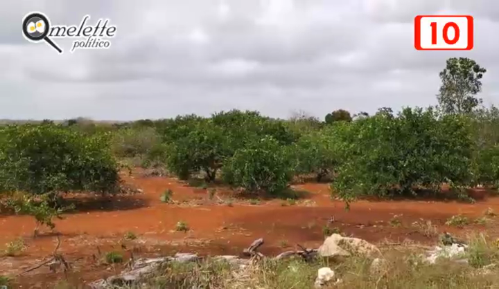 QUINTANA ROO EN EL OCTAVO LUGAR EN EXPORTACION DE LIMON