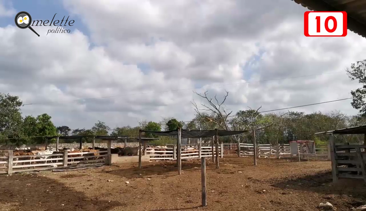 GANADEROS AUN NO SABEN CUANDO LLEGARÁN SUS APOYOS