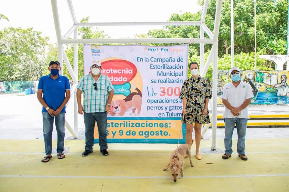 Concluye jornada de esterilización de mascotas con ahorro por el no uso de pirotecnia.