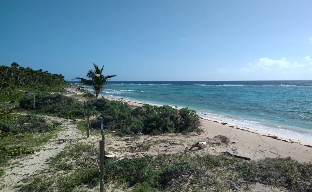 Alertan por riesgo en ecosistemas y vestigios arqueológicos en Tulum ante nuevo ordenamiento urbano