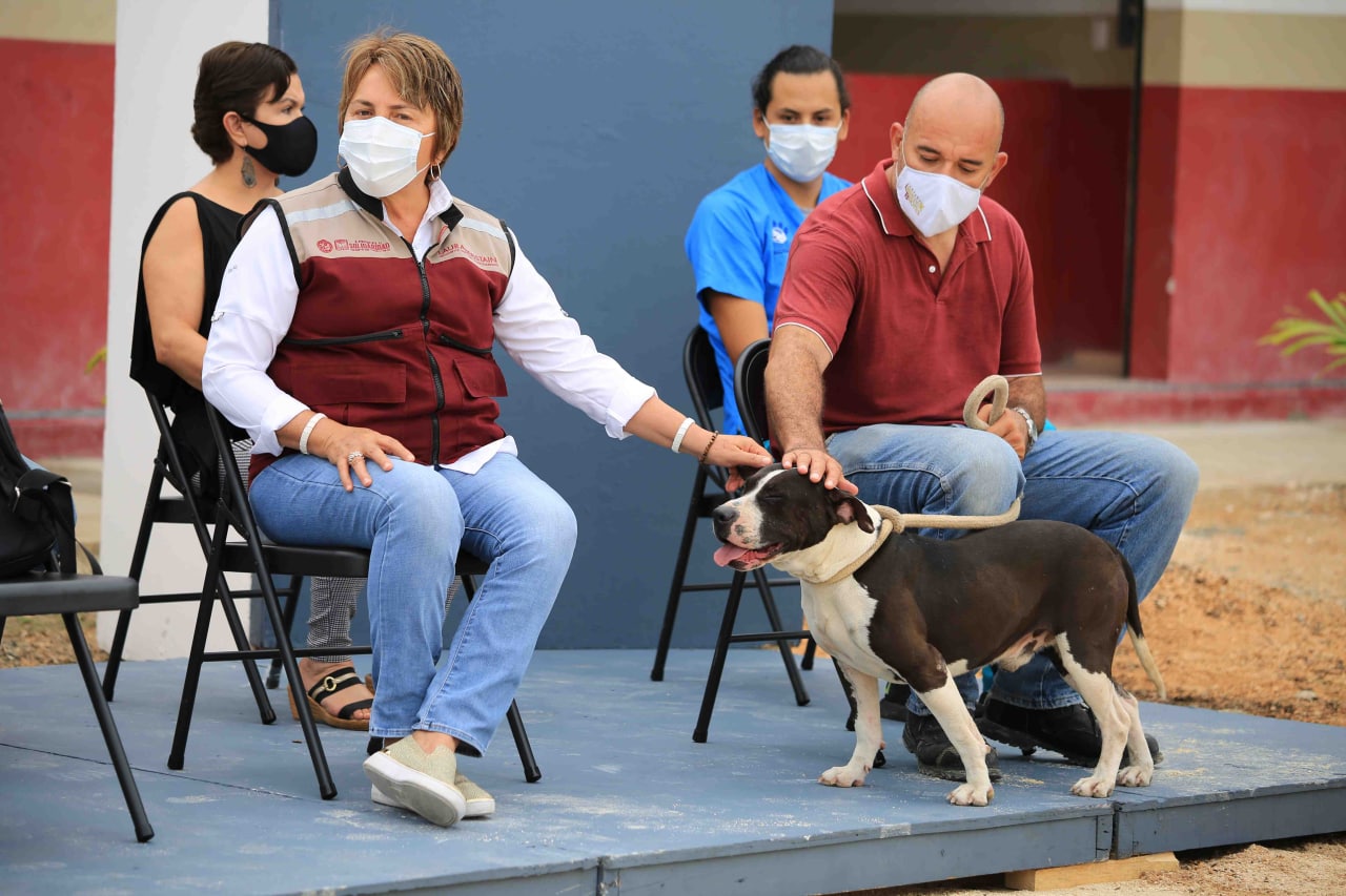 Gobierno de Solidaridad a la vanguardia en la protección y cuidado de los animales