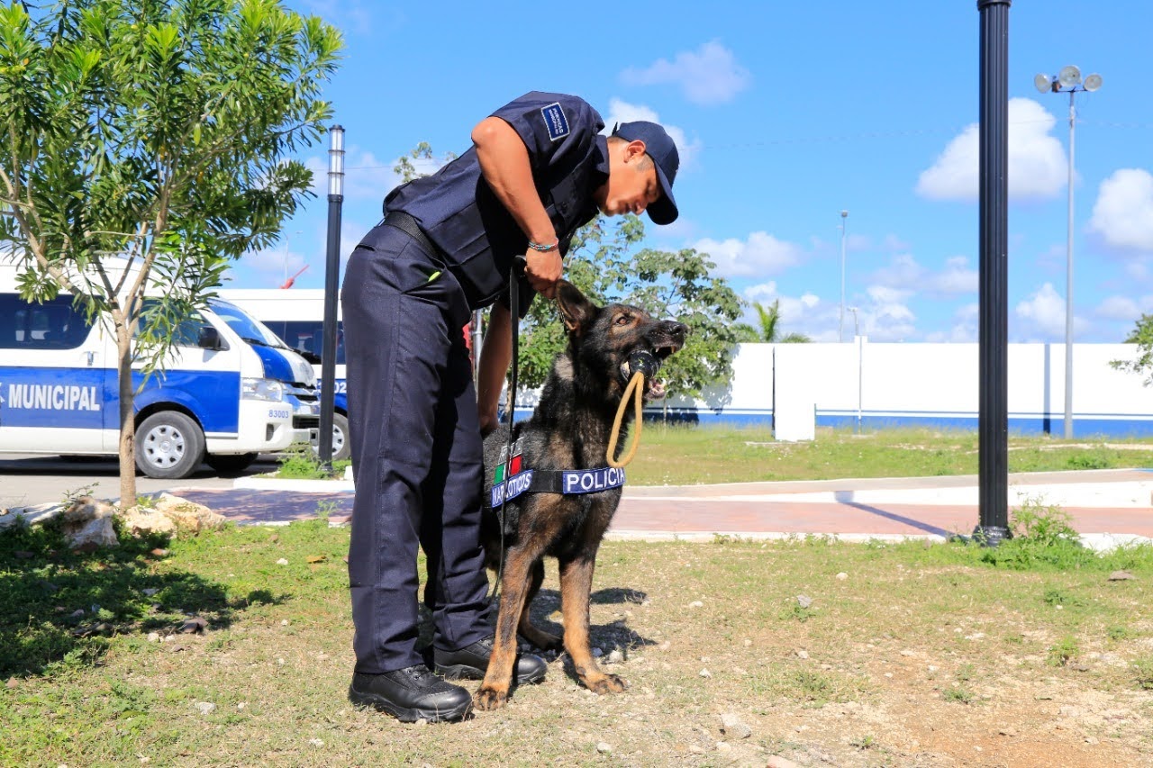 Gobierno de Laura Beristain fortalece Policía Municipal con Unidad Canina