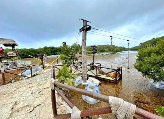 El sargazo ya es un desastre natural que acciones tomara el gobierno estatal  y el federal para este