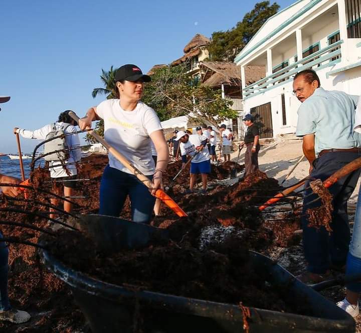 Trabajo en equipo para atender el sargazo: Estefanía Mercado