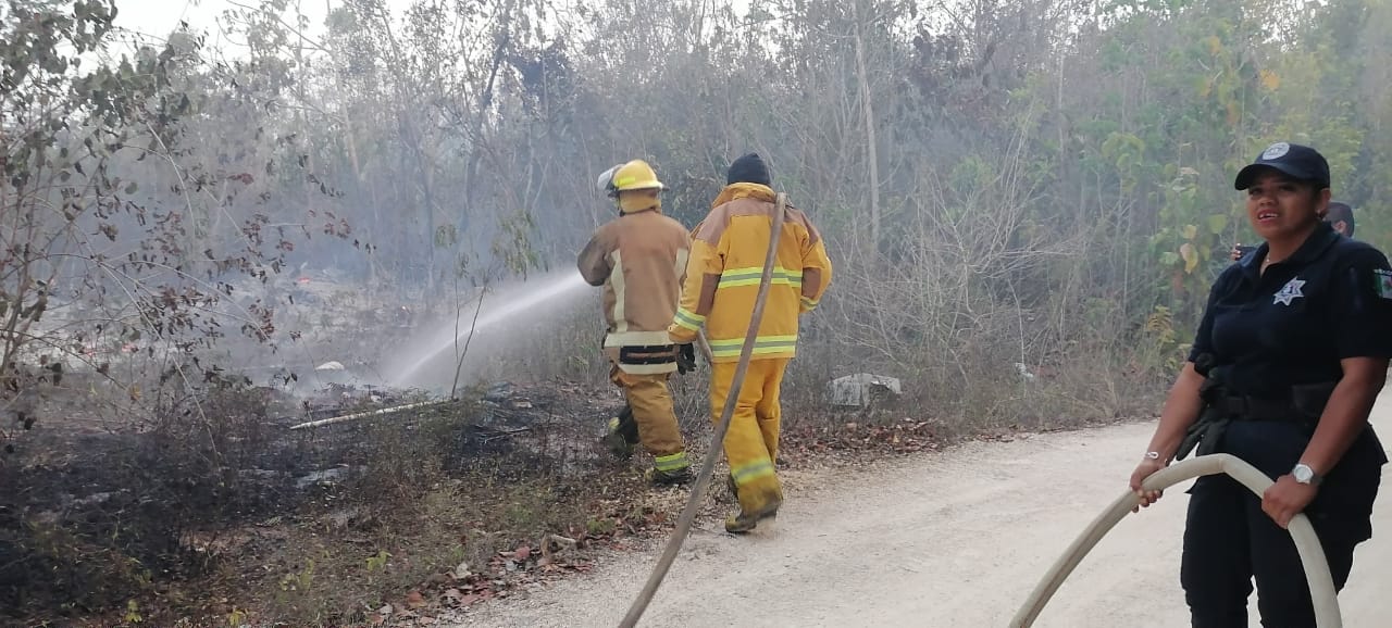 Controlado incendio de la Zona Agrícola