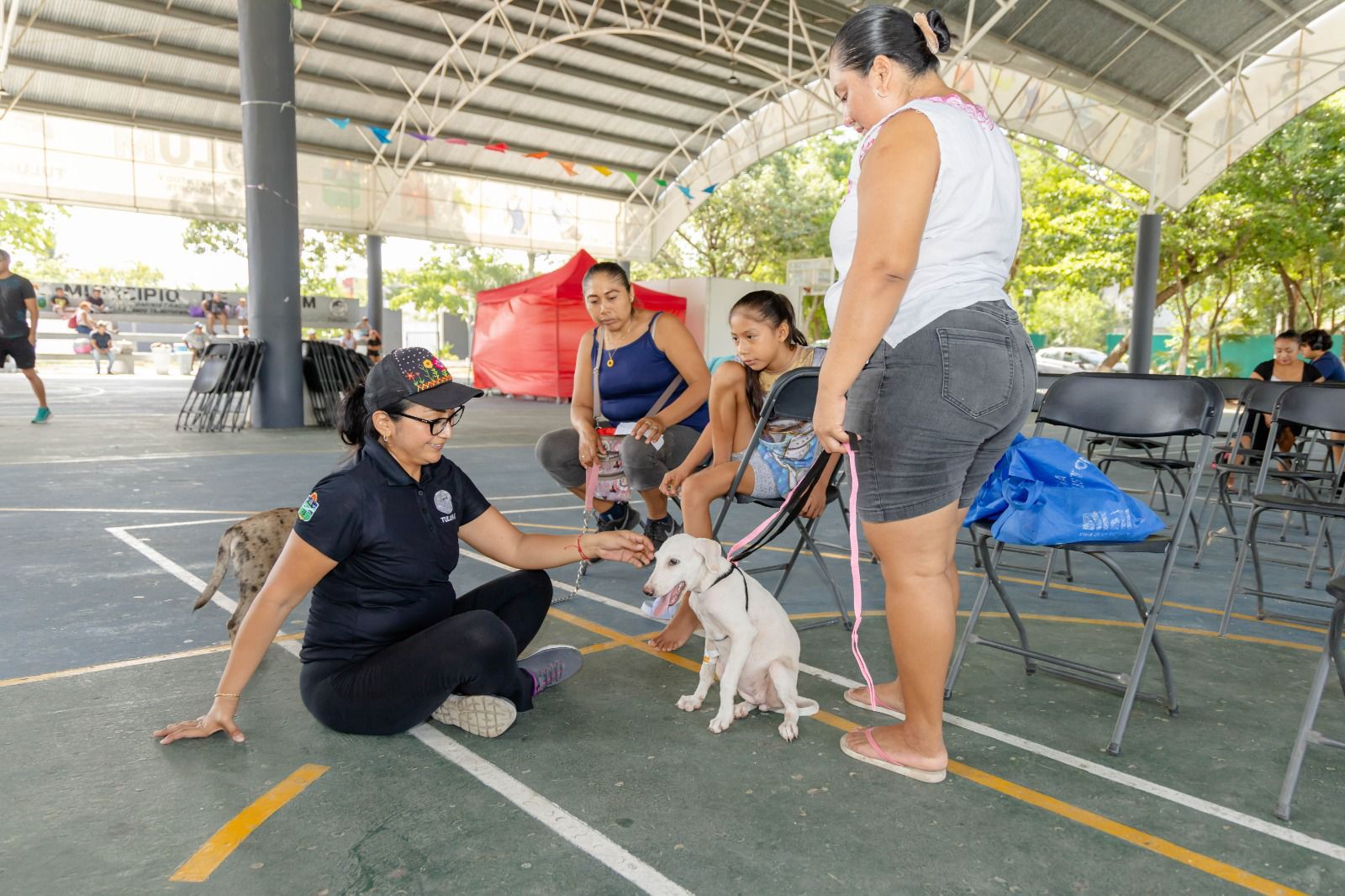 Gobierno de Diego Castañón activa campaña de esterilización canina y felina en Tulum