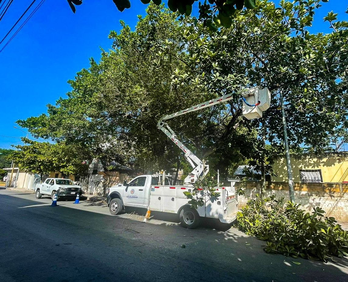 Realizan poda de árboles por temporada de lluvias