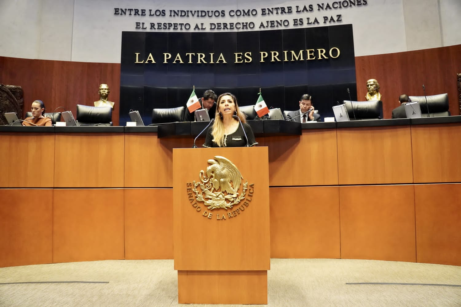 MARYBEL VILLEGAS LANZA EXHORTO DESDE EL SENADO PARA FORTALECER LAS MEDIDAS PREVENTIVAS CONTRA EL DENGUE EN QUINTANA ROO