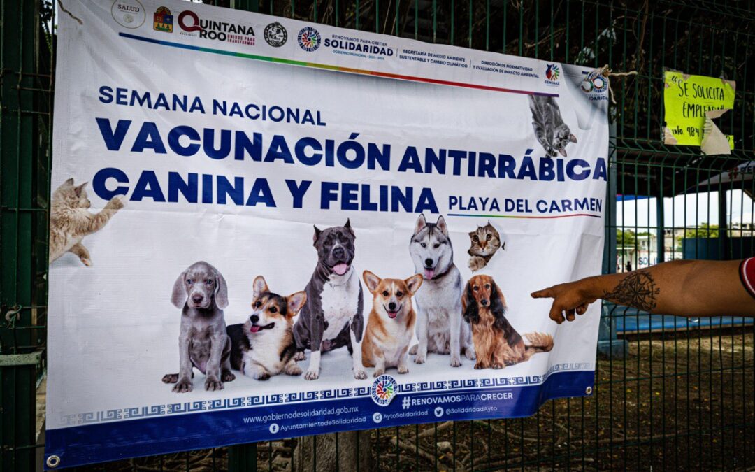 Sigue con éxito campaña de vacunación antirrábica en Solidaridad