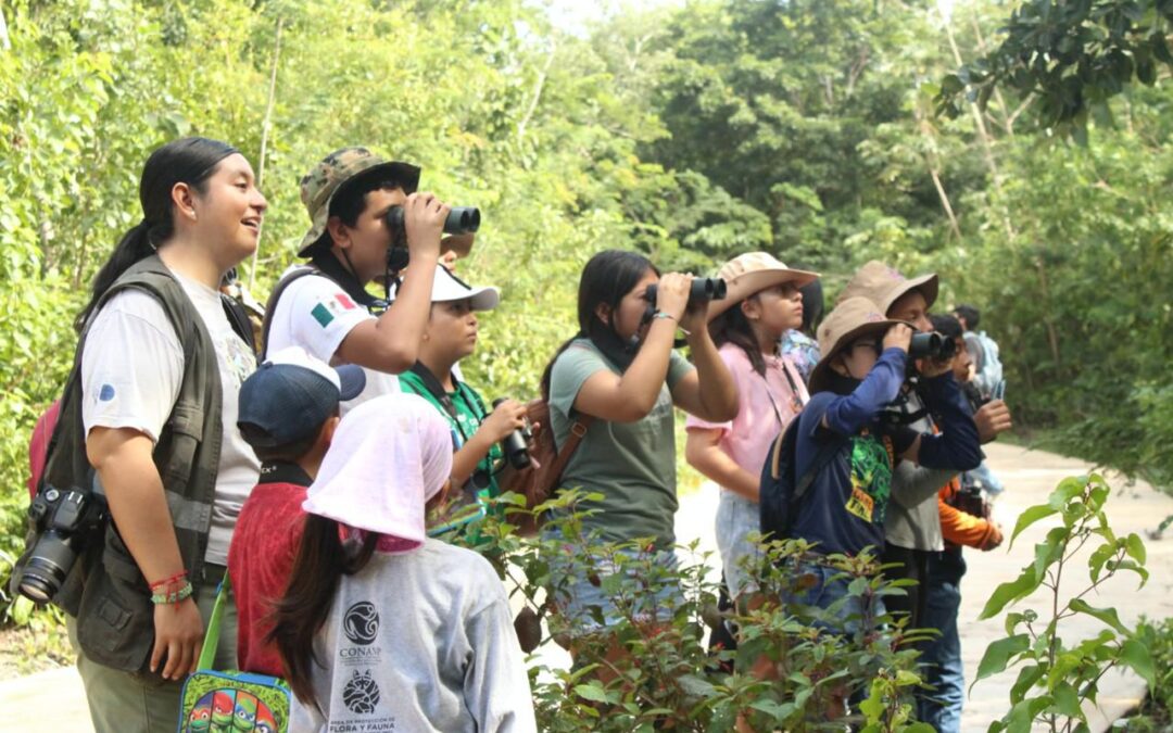 Cozumel celebra el “Día Mundial de las Aves Migratorias” y el “Global Big Day”