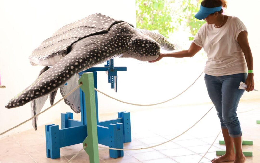 sla Contoy, una joya inigualable de Isla Mujeres