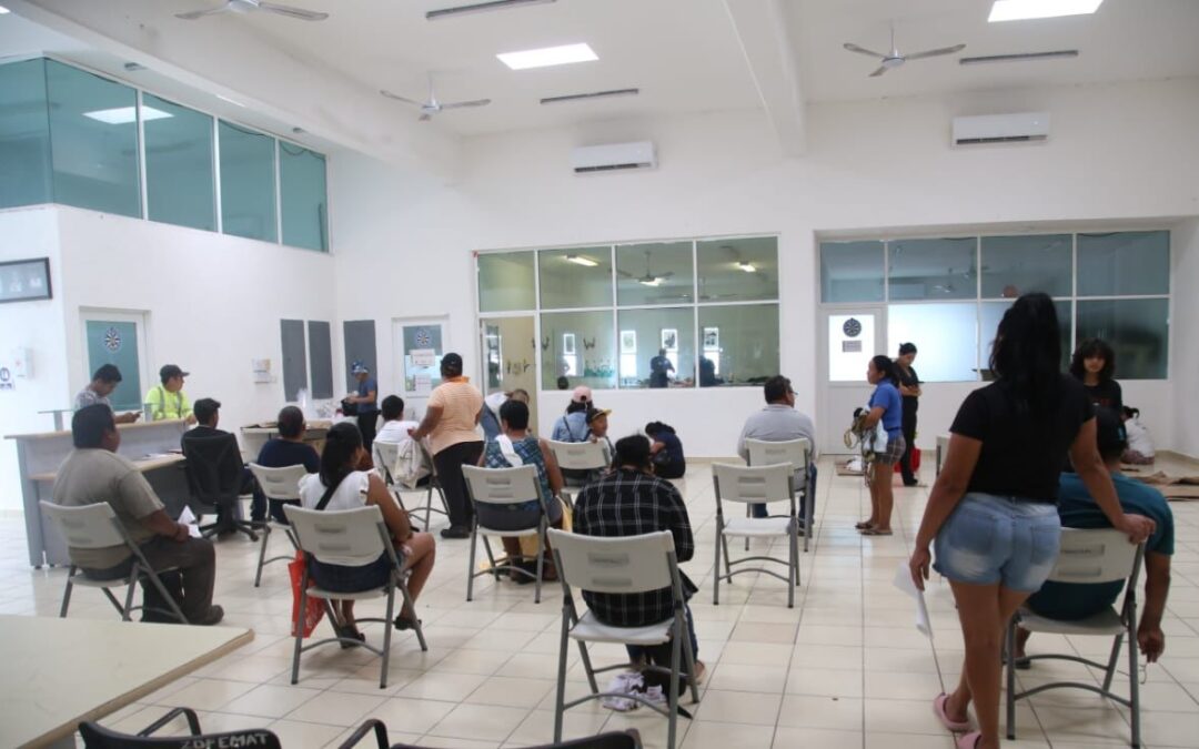 Gobierno Municipal promueve campaña de esterilización y bienestar animal en Zona Continental