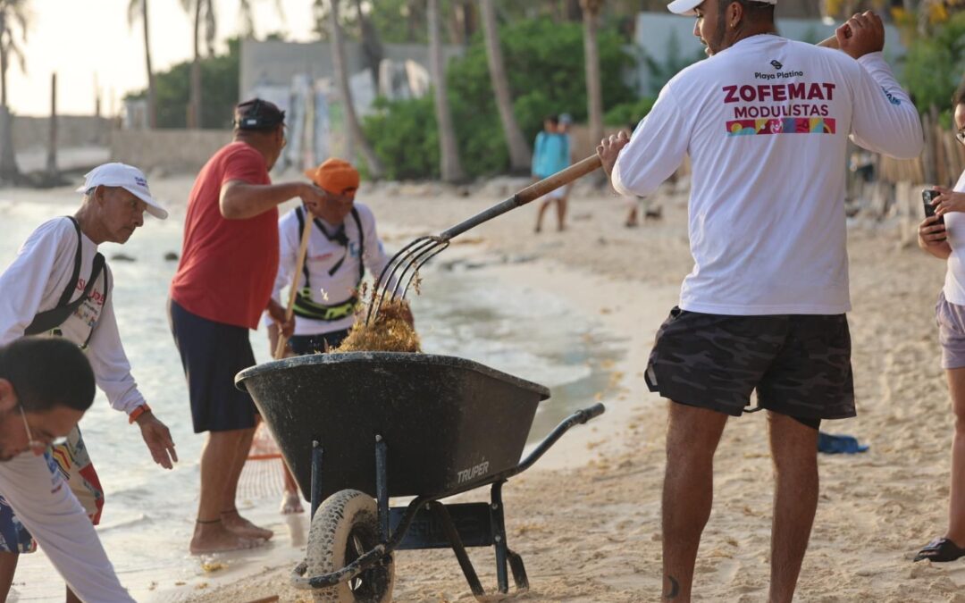 Gobierno de Isla Mujeres atiende oportunamente el arribo de sargazo
