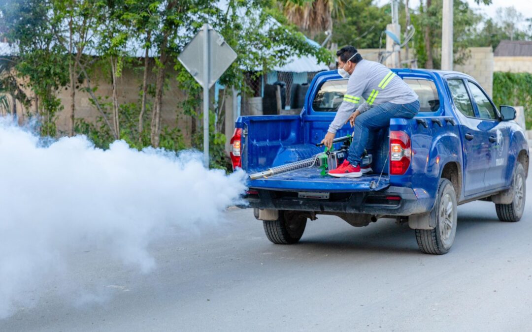 TULUM EN ACCIÓN CONTRA EL DENGUE, CHIKUNGUNYA Y PALUDISMO