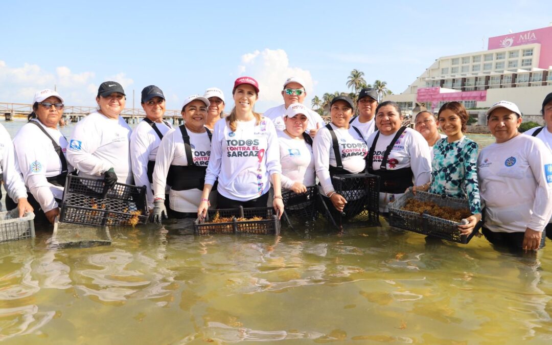 Gobierno de Isla Mujeres responde con rapidez y con la solidaria participación de la comunidad isleña ante recale atípico de sargazo