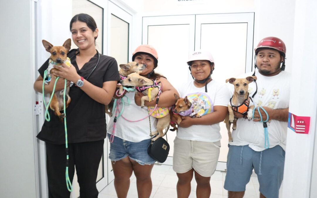 Centro de Bienestar Animal de Isla Mujeres ofrece servicios accesibles para el cuidado y atención de las mascotas de compañía