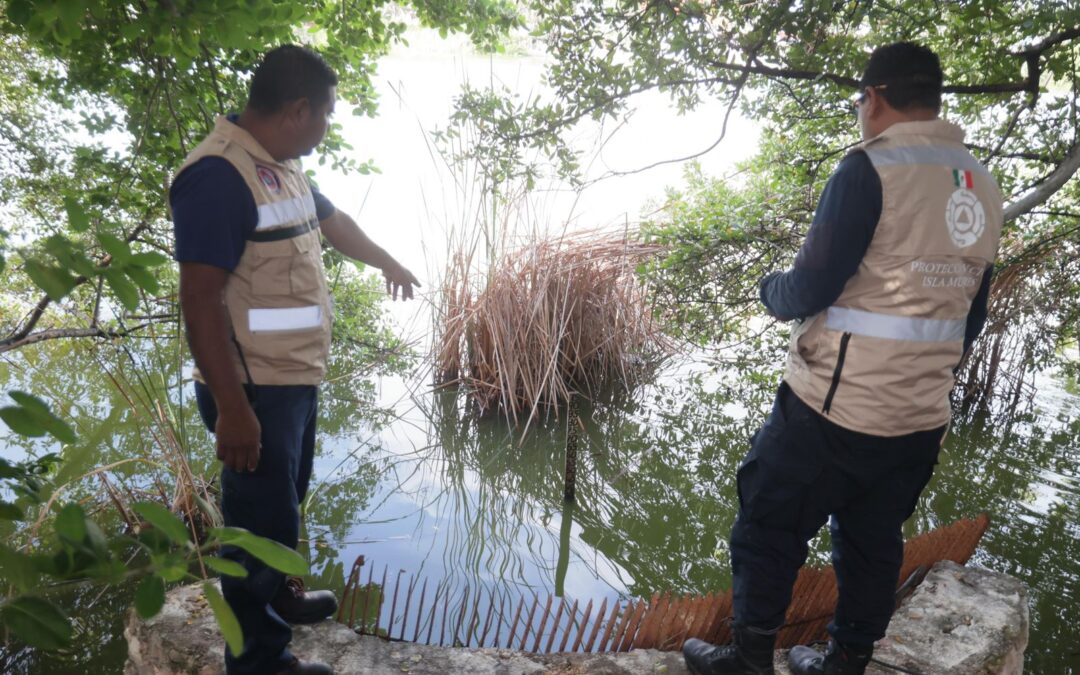 Gobierno de Isla Mujeres refuerza los trabajos preventivos ante el Frente Frío 19