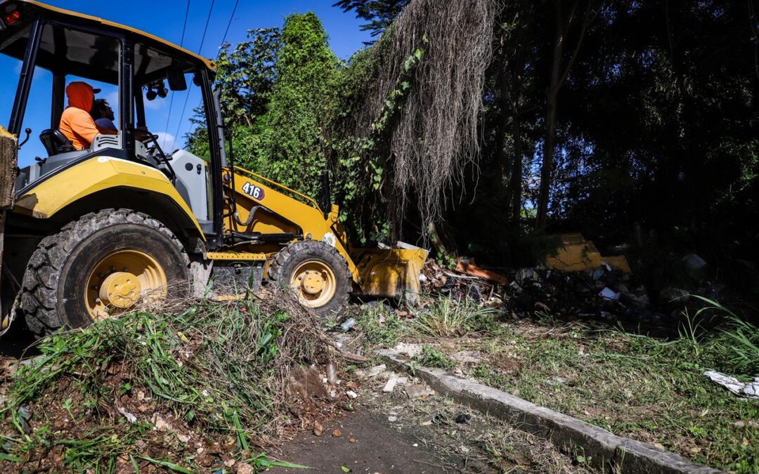 Recolectan más de 30 toneladas de basura en limpieza profunda de basurero clandestino en Chetumal