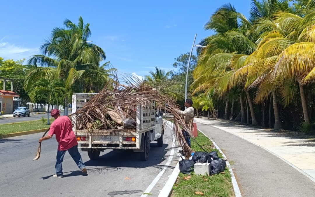 Brigada Bahía mantiene limpio y ordenado el Boulevard de Chetumal.