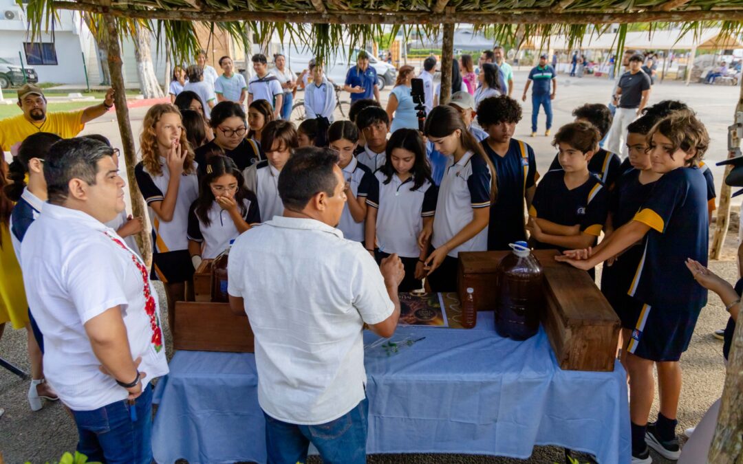 ARRANCA EN TULUM EL FESTIVAL DE LA ABEJA PARA PROMOVER SU PROTECCIÓN Y EL CONSUMO DE MIEL
