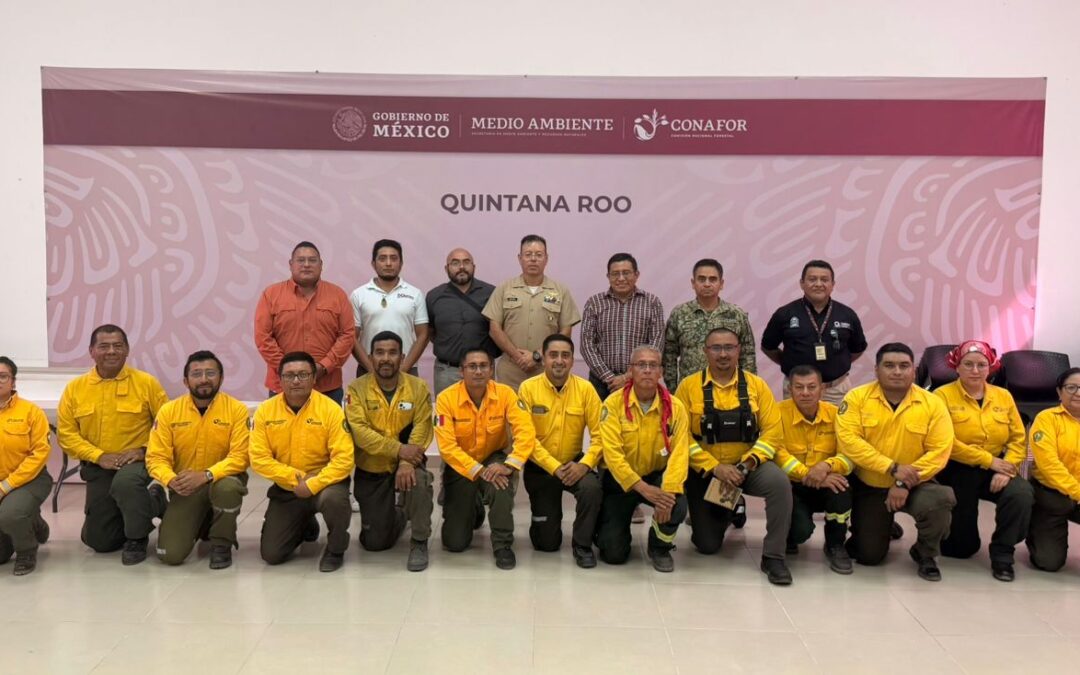 Se liquida el incendio forestal “JAS” gracias al trabajo coordinado en Quintana Roo