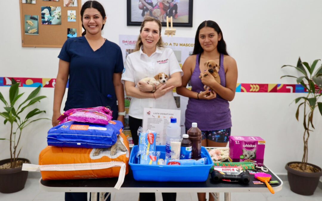 Atenea fortalece la atención digna para mascotas a través del Centro de Bienestar Animal de Isla Mujeres
