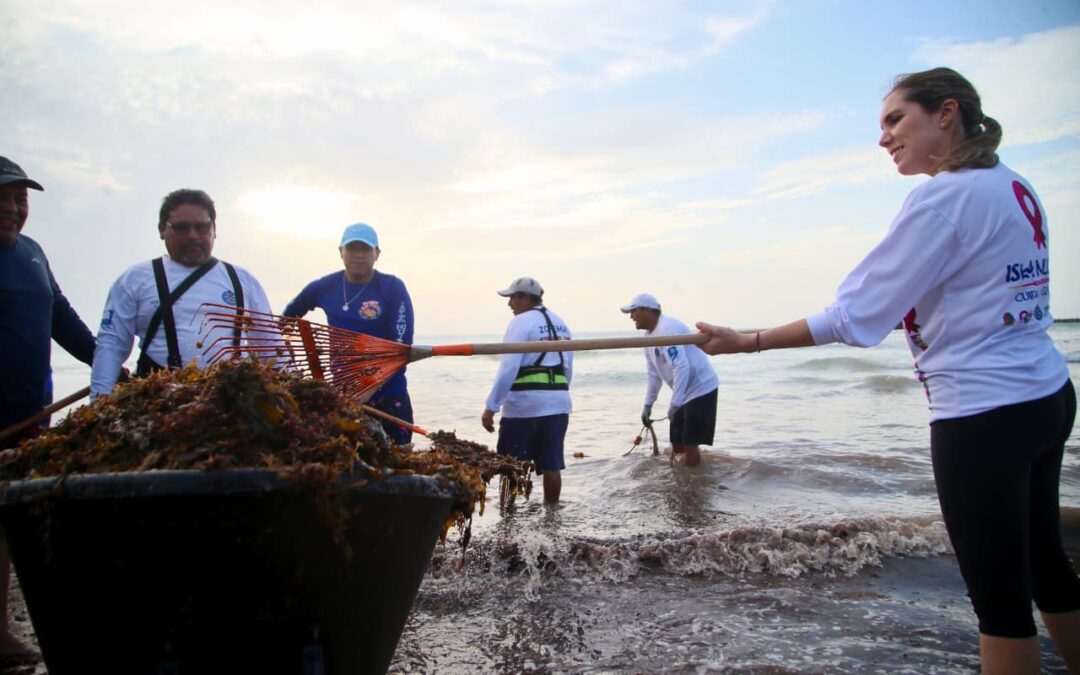 Gobierno de Isla Mujeres responde con rapidez al recale atípico de sargazo