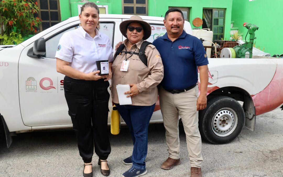 Refuerzan vigilancia epidemiológica con ovitrampas para prevenir el dengue en Isla Mujeres