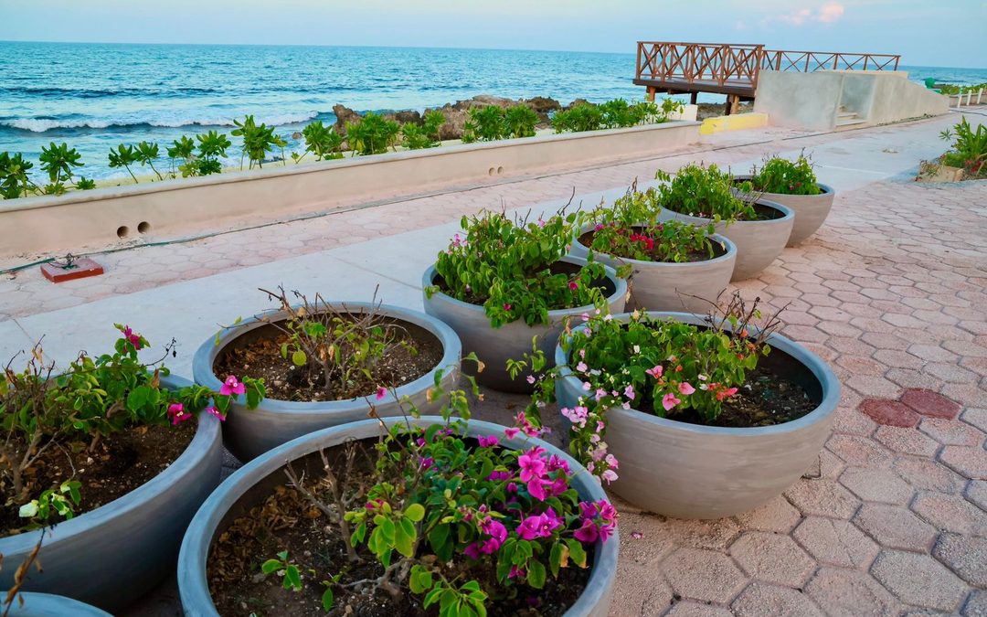 Avanzan Paseo de las Sirenas y nueva Casa de la Cultura, dos obras que transforman Isla Mujeres