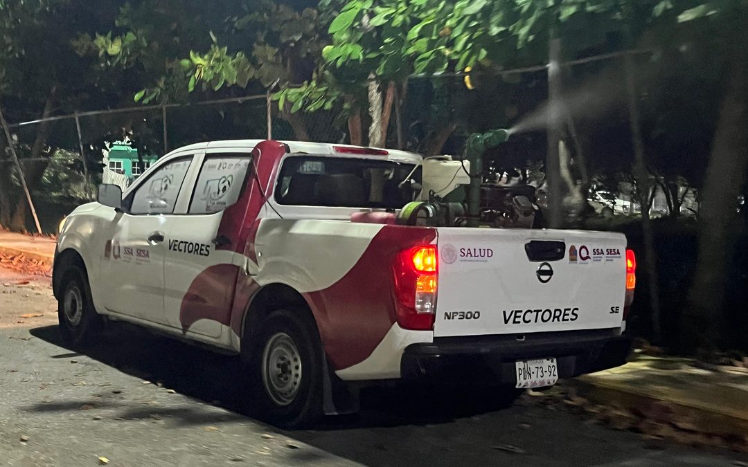 Gobierno de Isla Mujeres refuerza acciones preventivas contra el mosquito transmisor del dengue