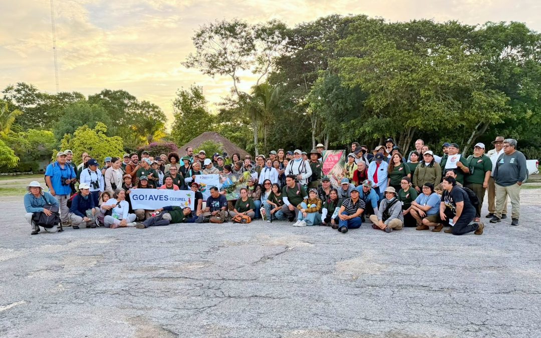Abre la FPMC sus espacios naturales al XVIII Festival de las Aves Isla Cozumel